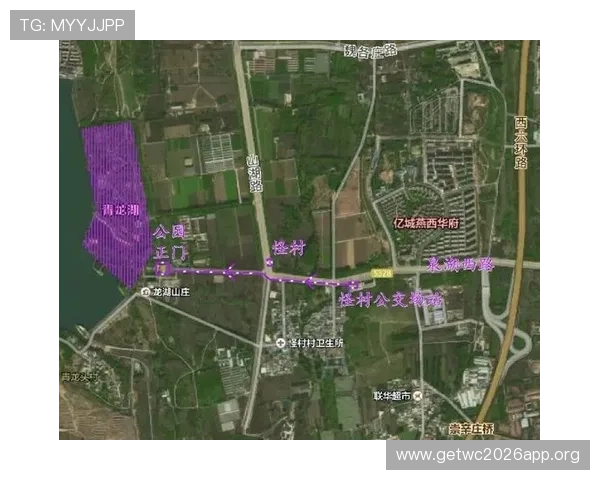 南宫体育网站的体育新闻报道策略与用户互动方式详解